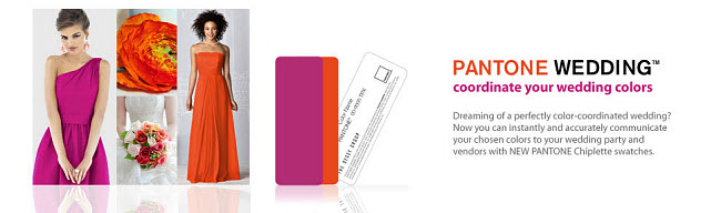 Introducing the Pantone Wedding™ Chiplette and Fan Guide