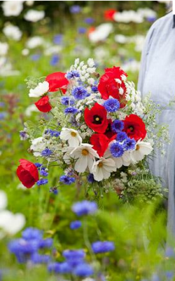 Flowers by Sarah Raven Red, white and blue flowers