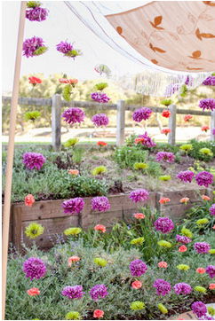 curtain of flowers Flower curtain