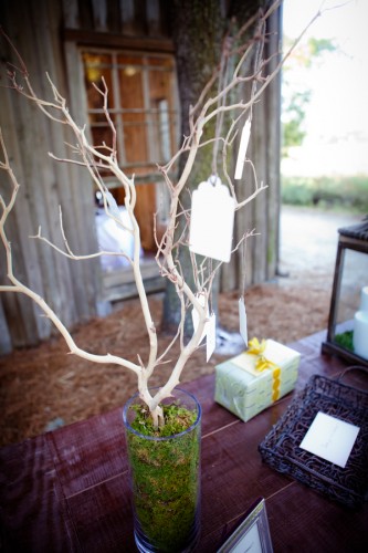 wedding wishing tree