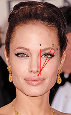 ANGELINA JOLIE BROW CHART