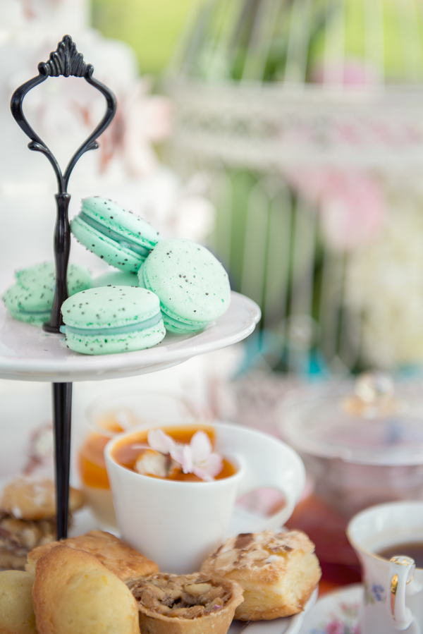 Gill_Mau_LEstelle_Photography_lestellevancouvercherryblossomsweddingengagement77_low