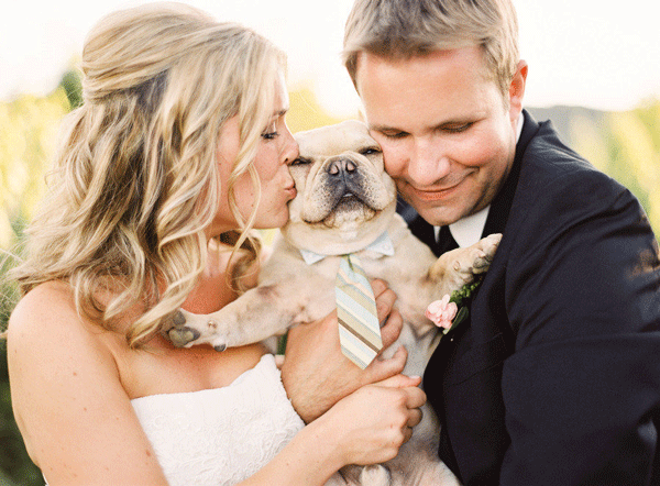 What You Should Know Before Putting Your Dog in Your Wedding