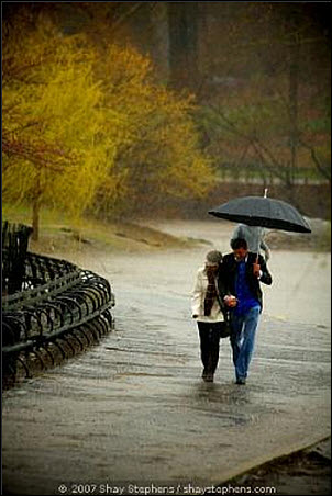 CentralParkProposal1.jpg