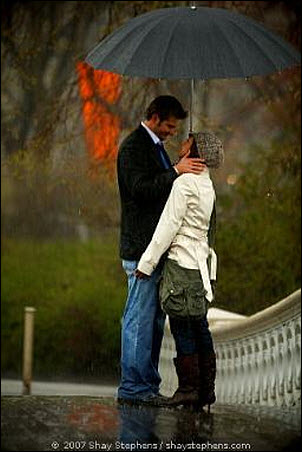 CentralParkProposal2.jpg