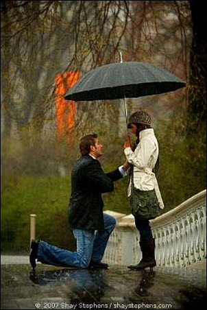 CentralParkProposal3.jpg
