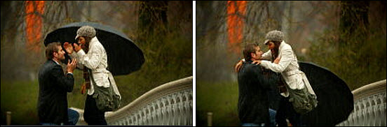 CentralParkProposal4.jpg