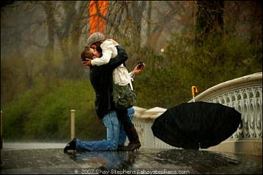 CentralParkProposal5.jpg