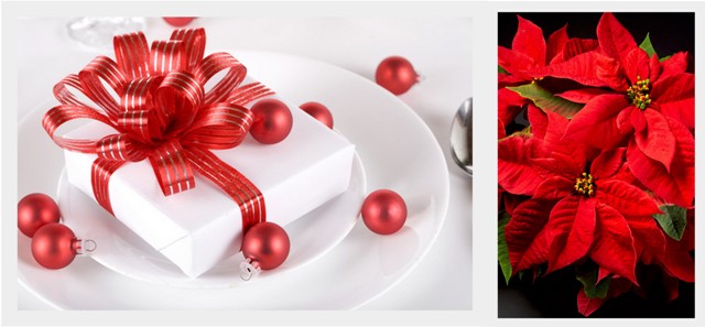Christmas wedding decor