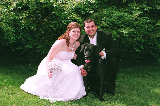 Daisy Yellow Wedding: Bride & Groom with dog