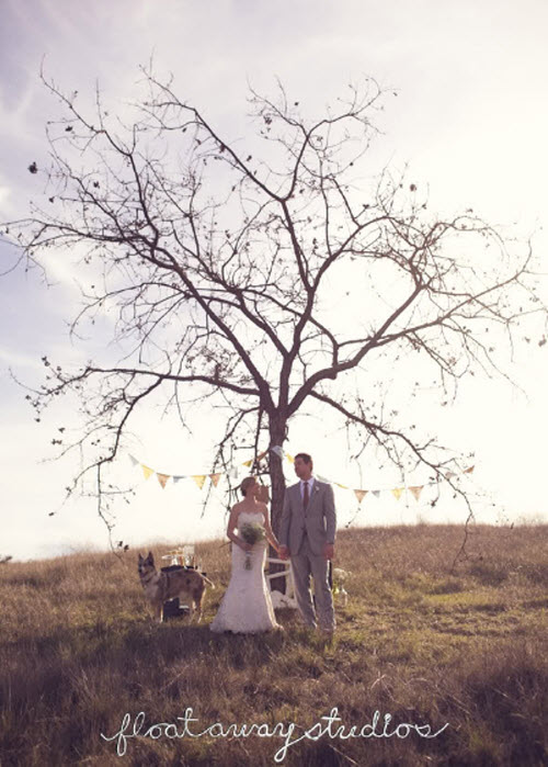 Outdoor Bride and Groom Photo Shoot